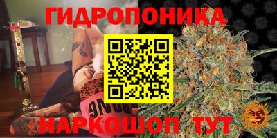 ешки Будённовск